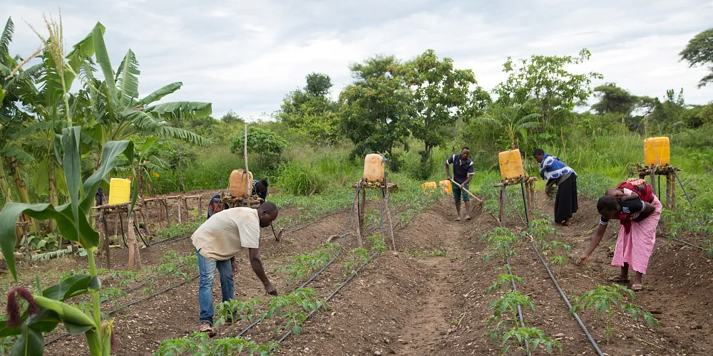 Tanzania farming investment