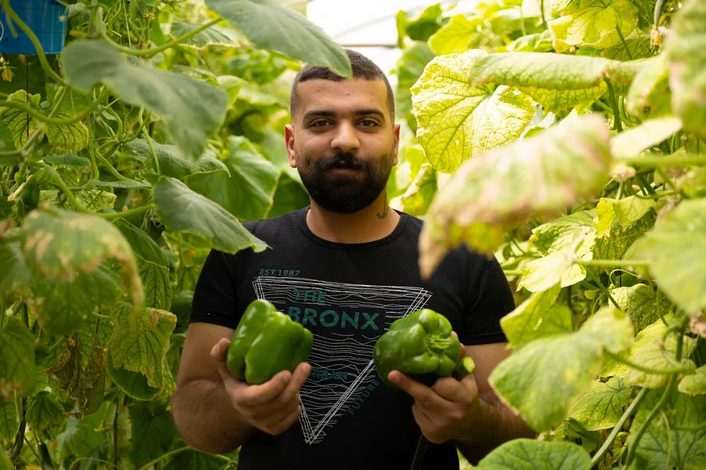 Ali i Libanon viser fram paprika i et av KNs prosjekter